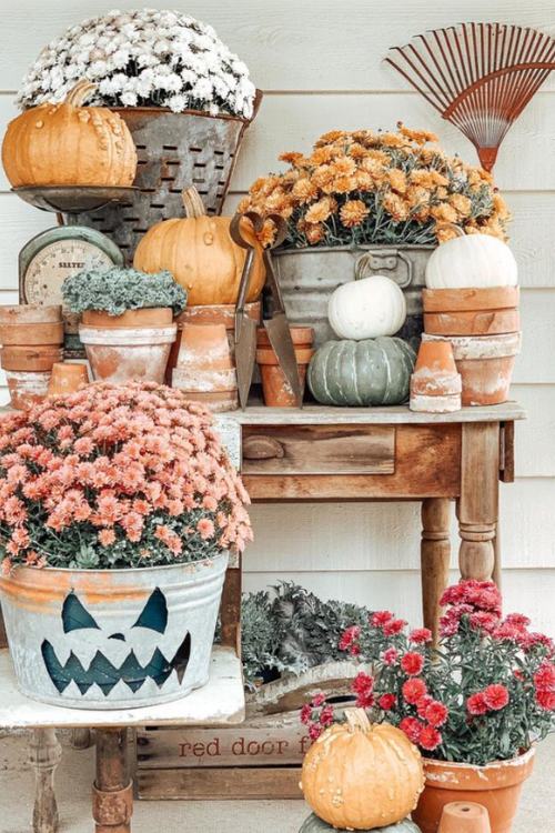 rustic table stacked with pumpkins and potted plants