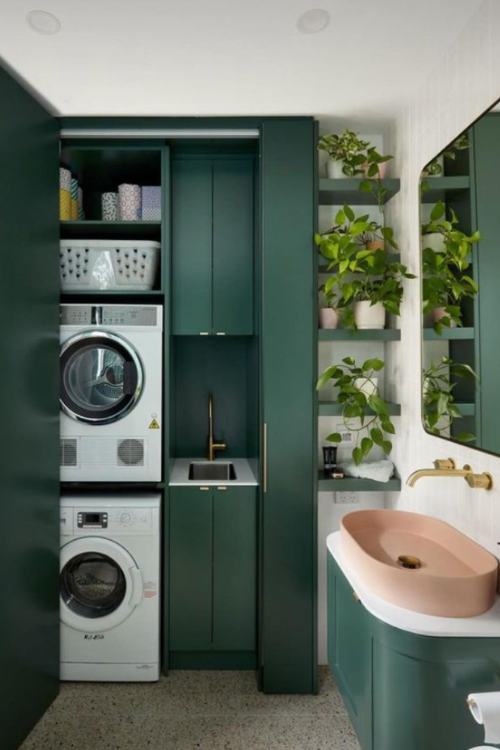 laundry room with plants on shelves